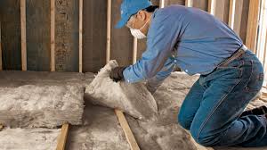 Best Crawl Space Insulation  in Oak Ridge North, TX